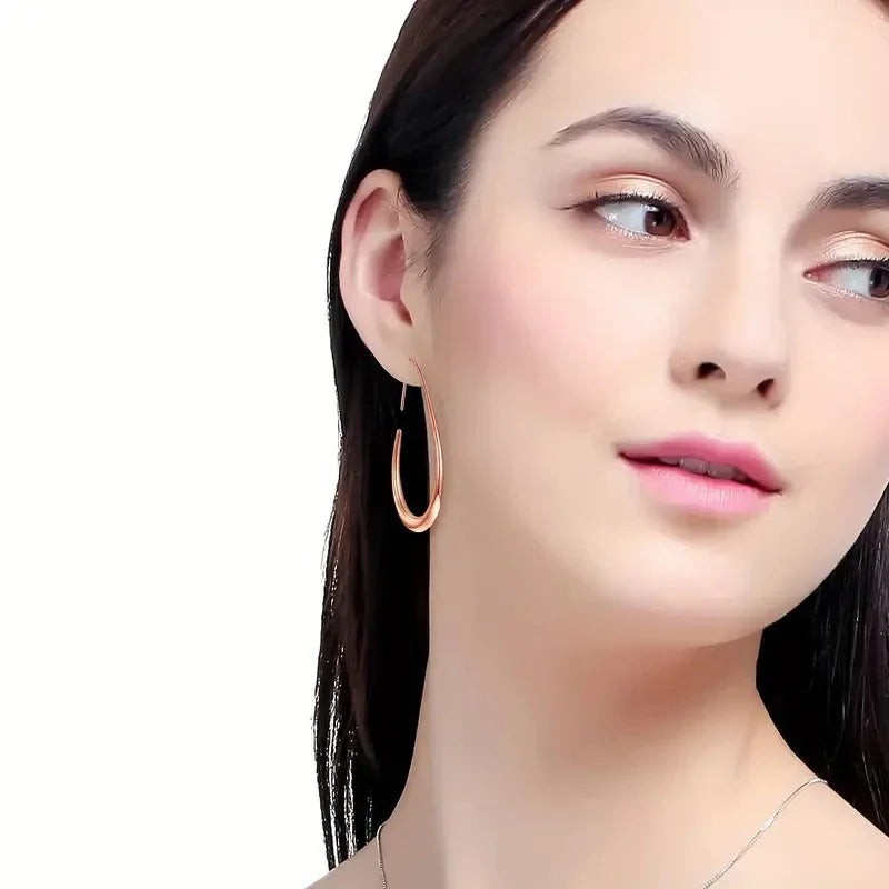 Waterdrop Shaped Big Hoop Earrings for Women Minimalist Metal Earrings Daily Wear Temperament Statement Jewelry.